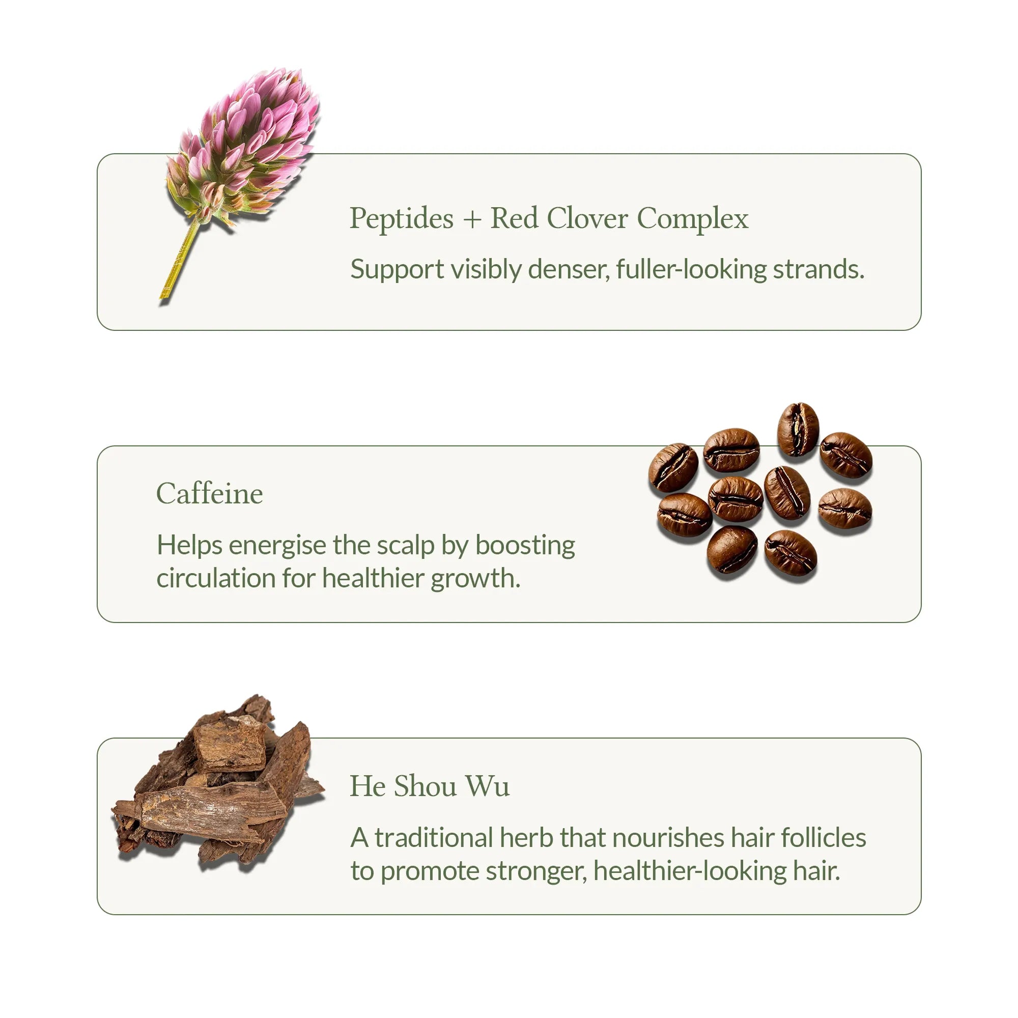 Awaken Hair & Scalp Serum